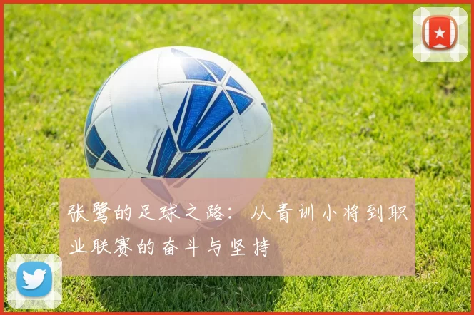 张鹭的足球之路：从青训小将到职业联赛的奋斗与坚持