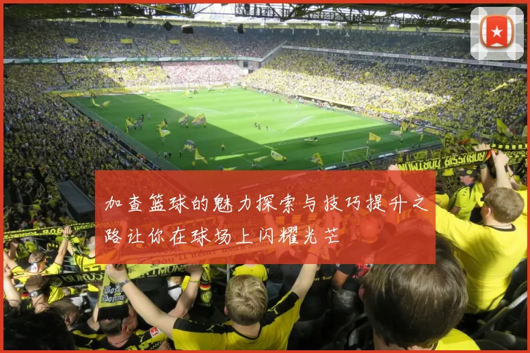 加查篮球的魅力探索与技巧提升之路让你在球场上闪耀光芒