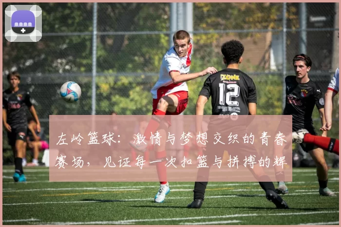 左岭篮球：激情与梦想交织的青春赛场，见证每一次扣篮与拼搏的辉煌时刻